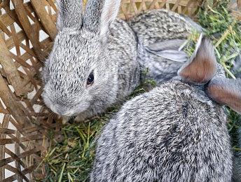 《飙酷车神2》PS5和XSX即将获得60FPS更新